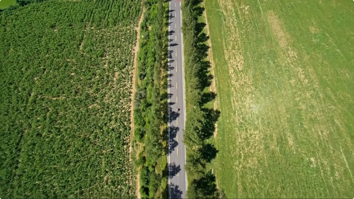 AI Master Camera Movement: meer dynamiek in POV-sportvideo’s