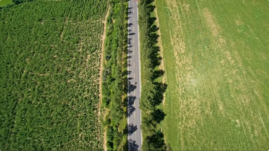 AI Master Camera Movement: meer dynamiek in POV-sportvideo’s