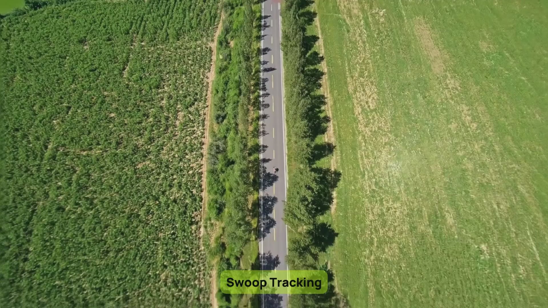 BleeqUp Rover AI Master Motion video demonstration.